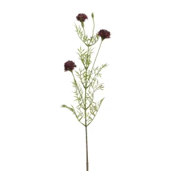 Tige de Chrysanthème Ping Pong 78 cm