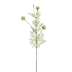 Tige de Chrysanthème Ping Pong 78 cm