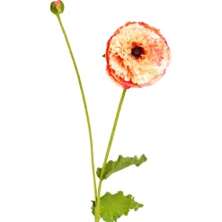 Tige de Coquelicot Pipa