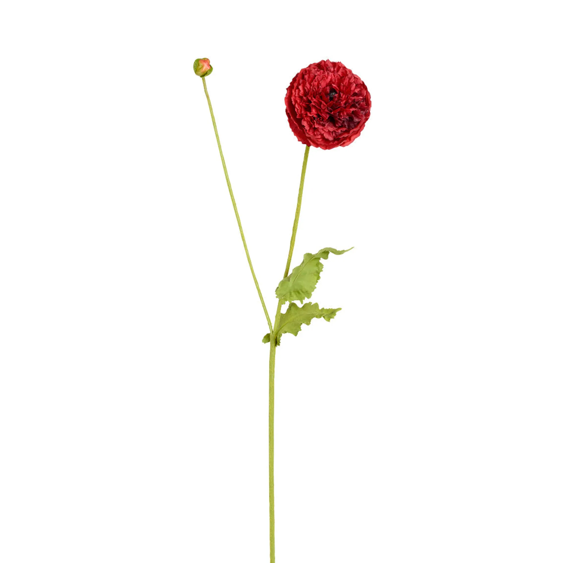 Tige de Coquelicot Pipa