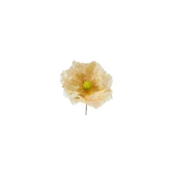 Tige de Coquelicot à piquer