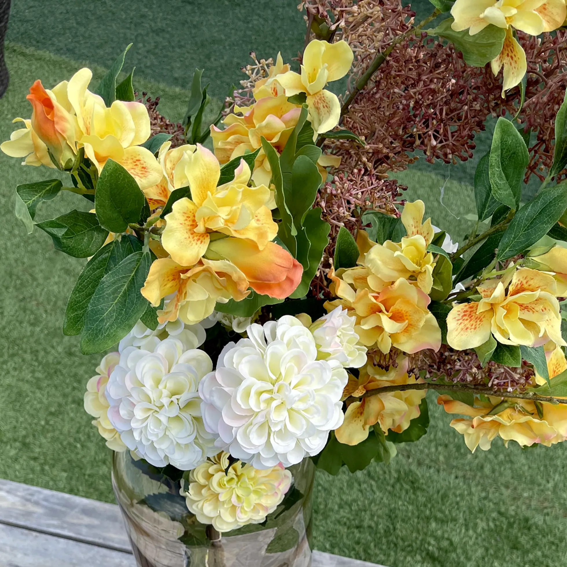 Tige de Dahlia Andreas