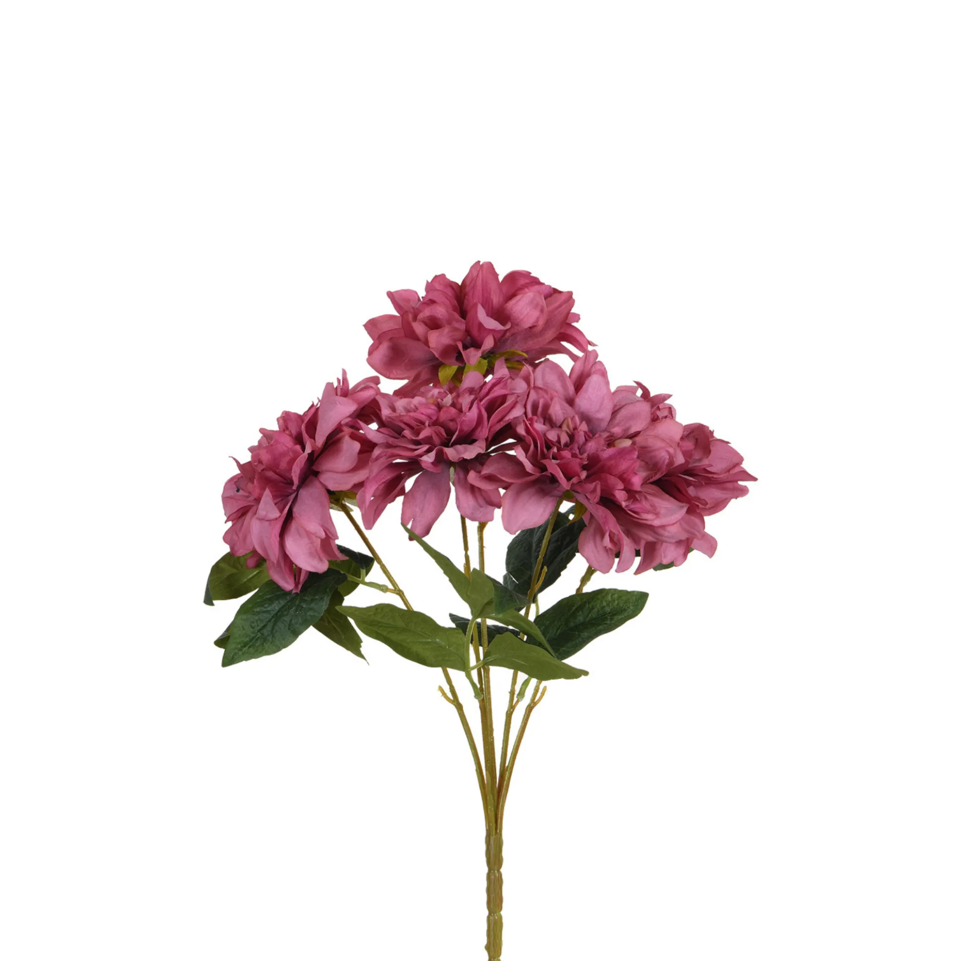 Tige de Dahlia 45 cm