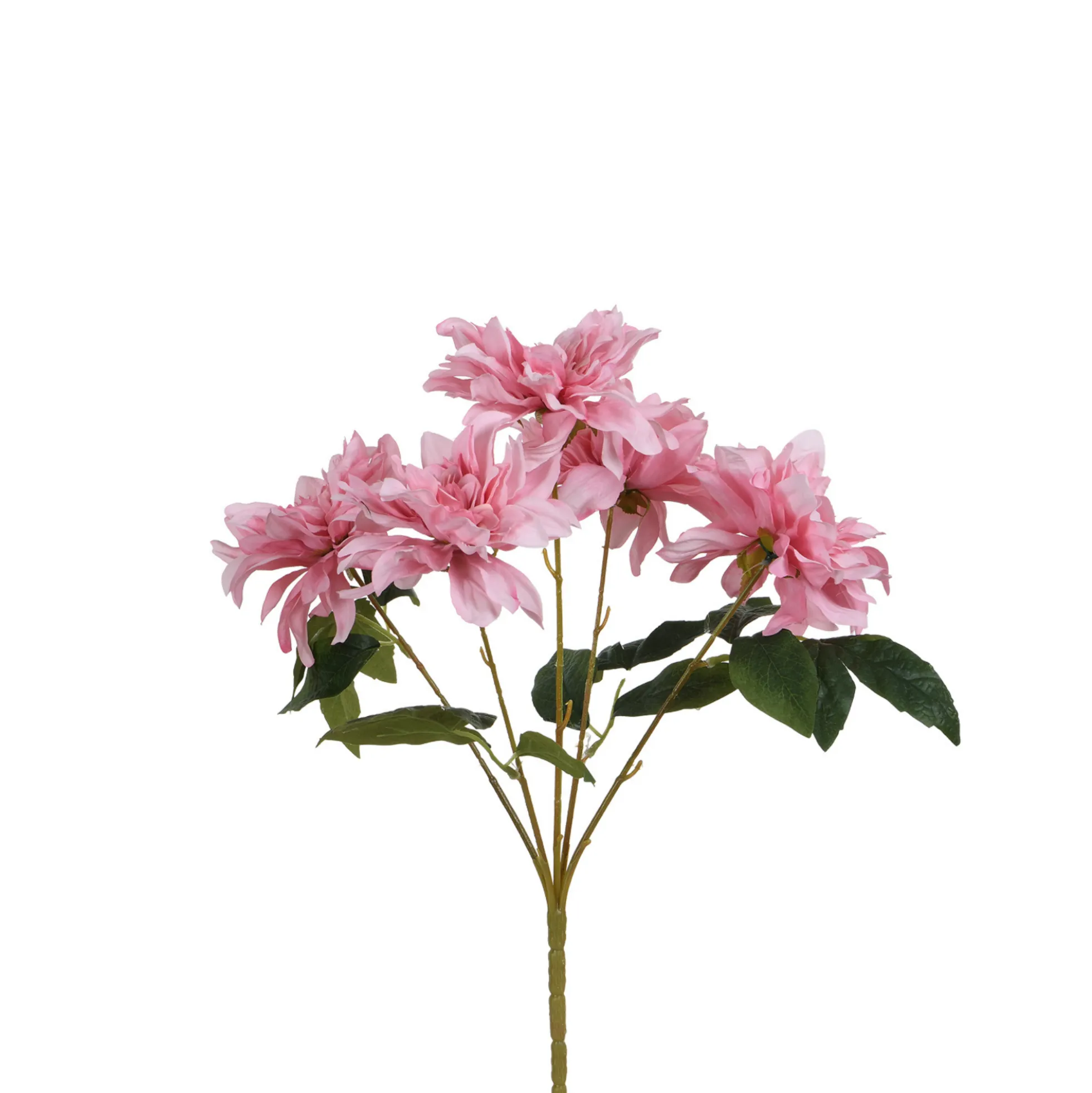 Tige de Dahlia 45 cm