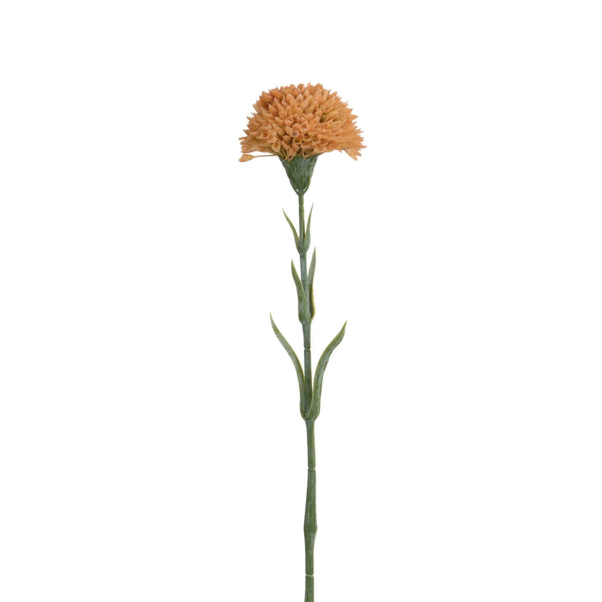 Tige de Dahlia 58 cm