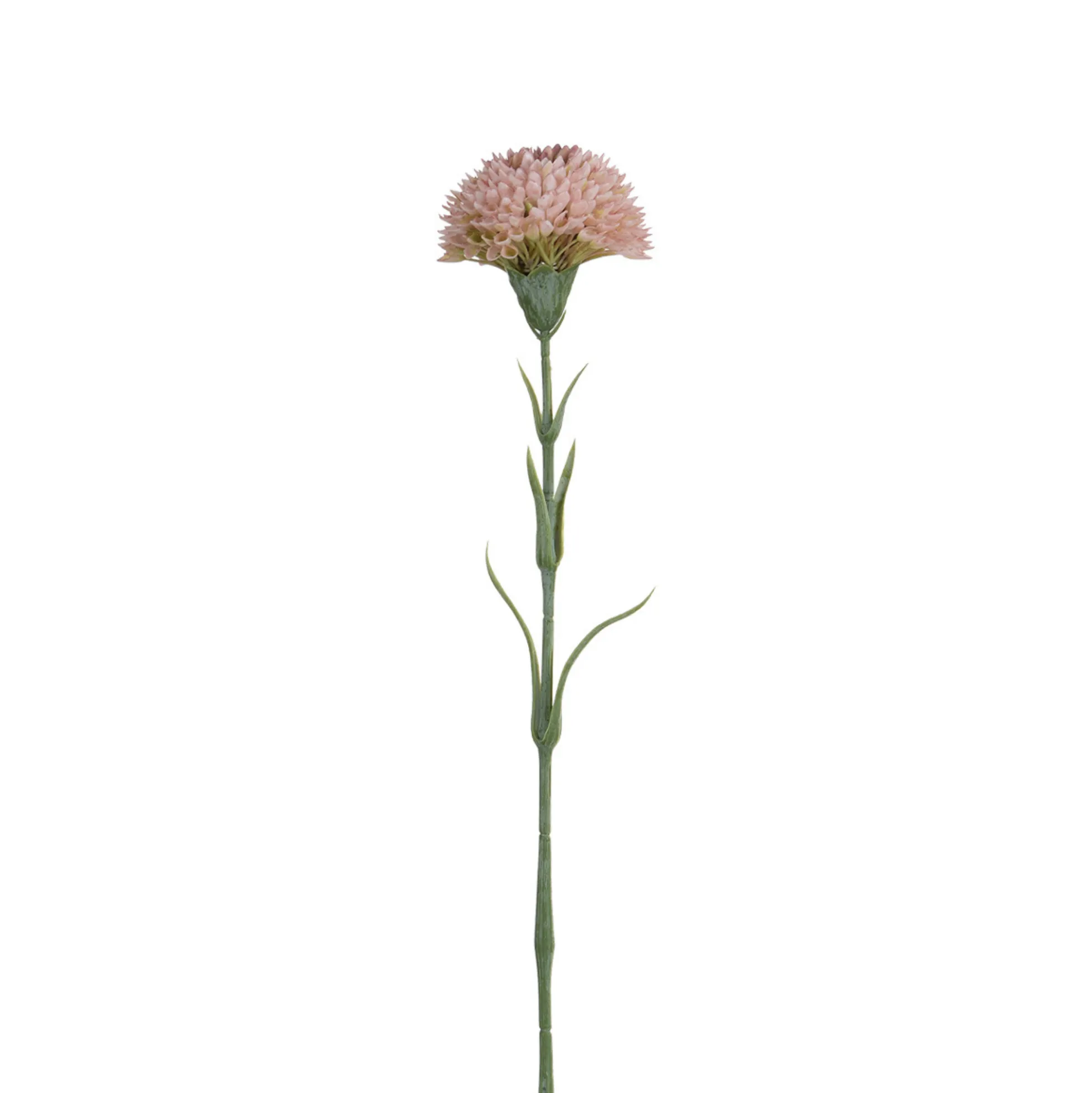 Tige de Dahlia 58 cm