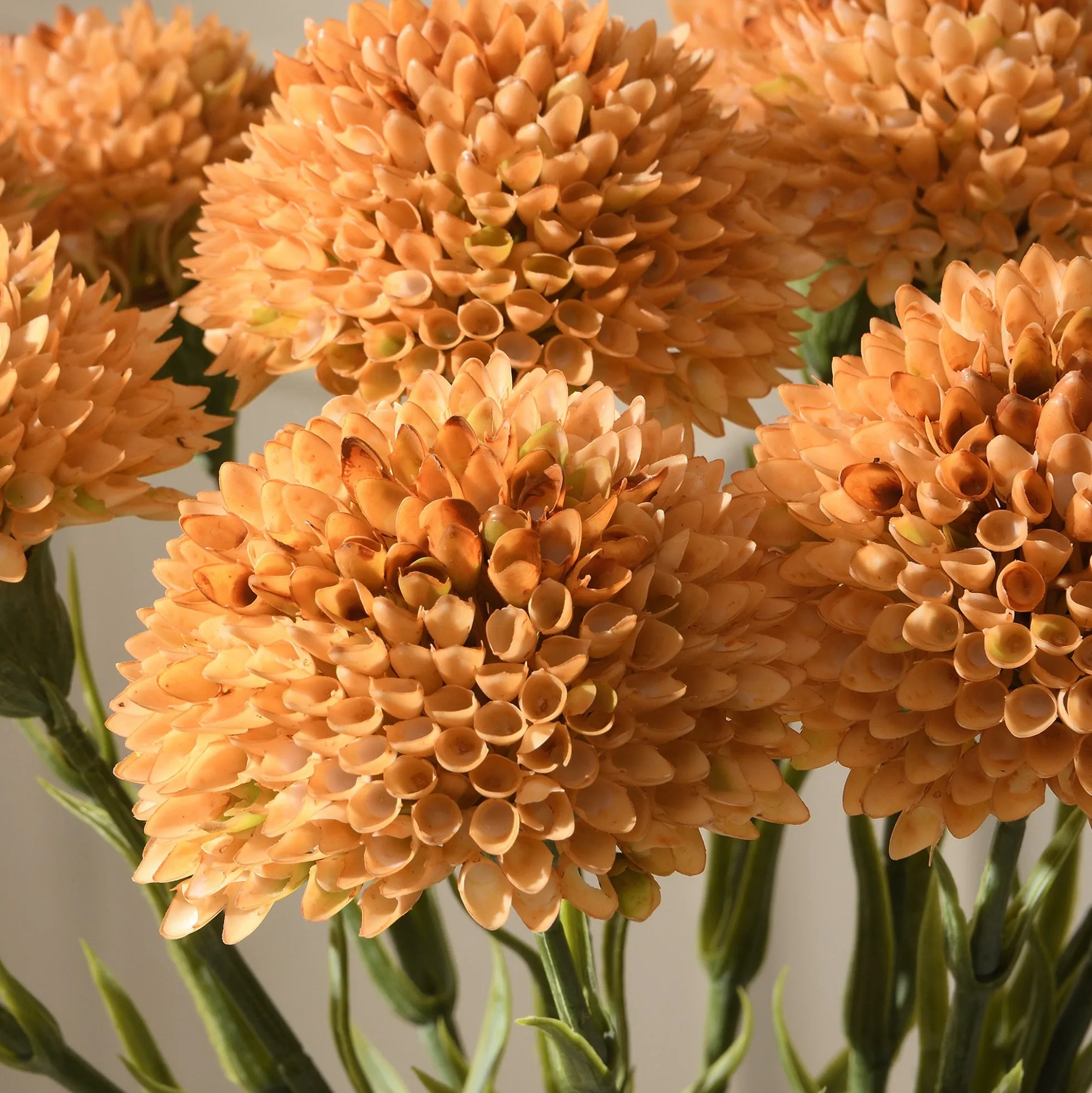 Tige de Dahlia 58 cm
