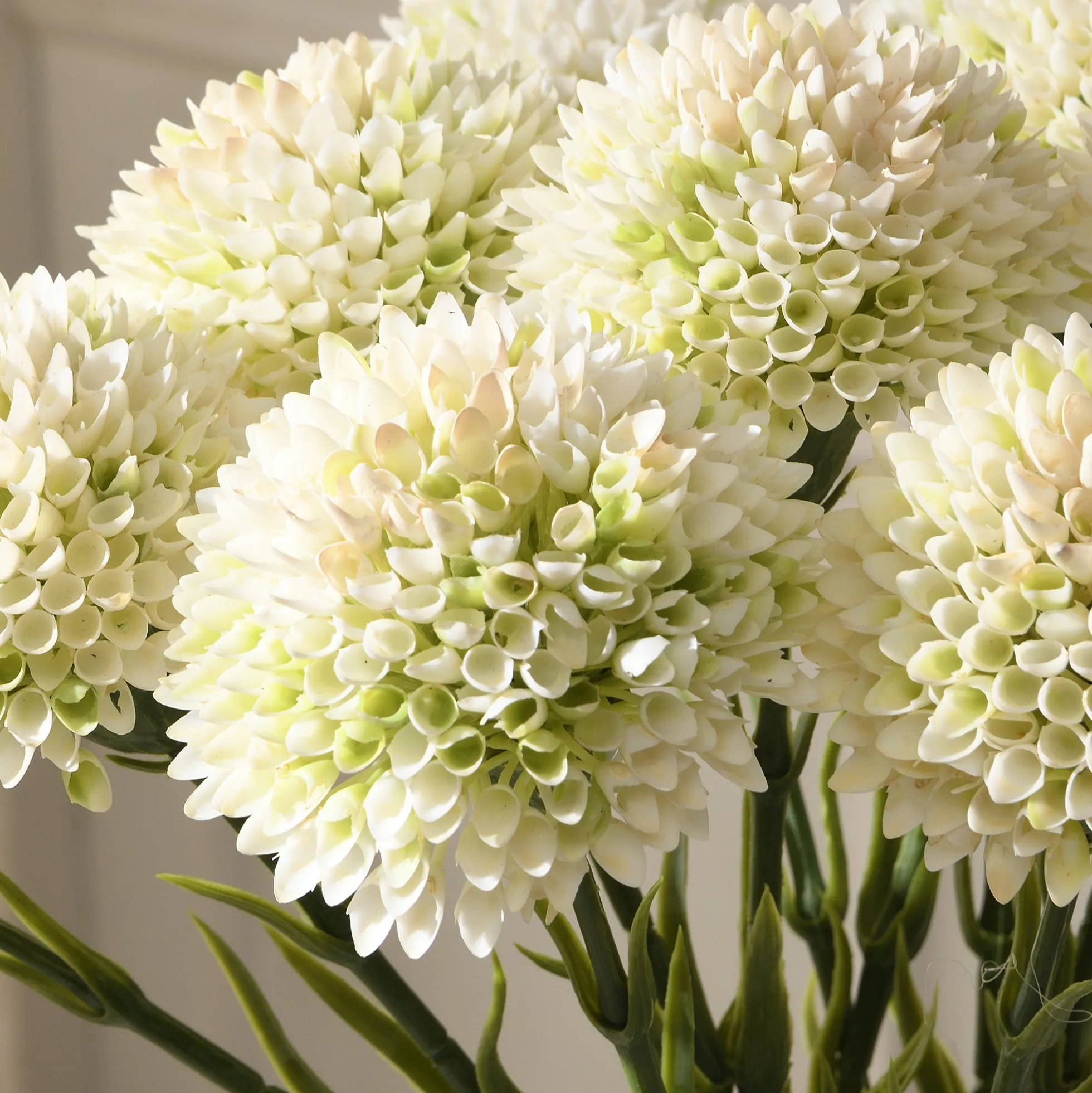 Tige de Dahlia 58 cm