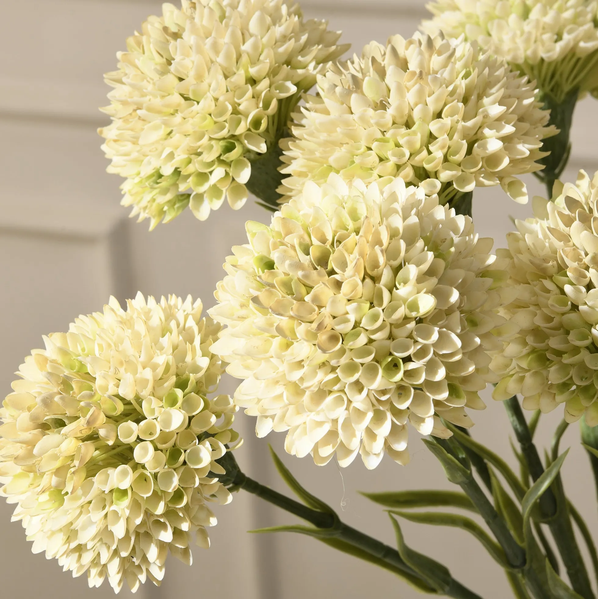 Tige de Dahlia 58 cm