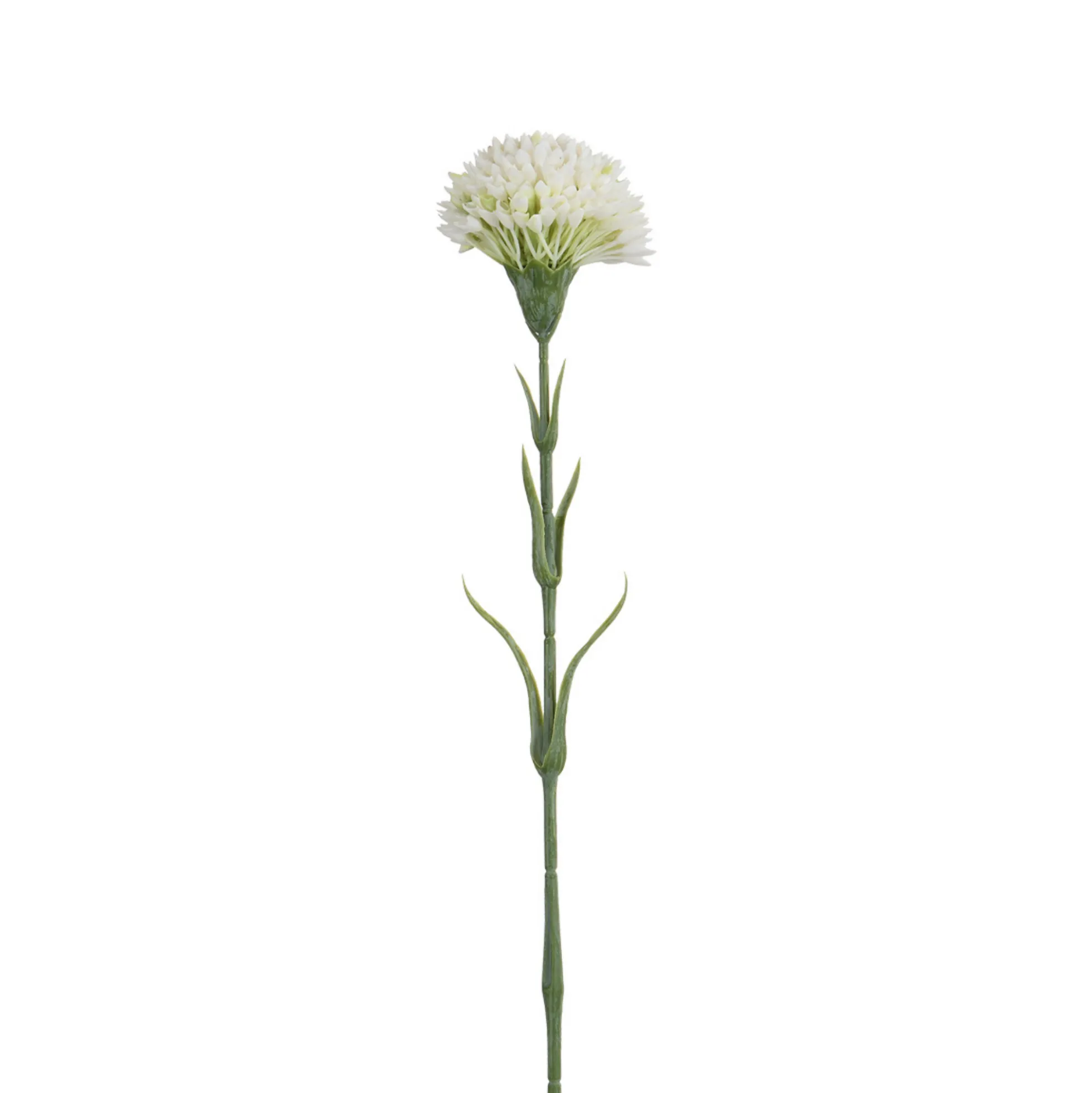 Tige de Dahlia 58 cm