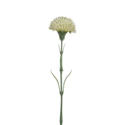 Tige de Dahlia 58 cm