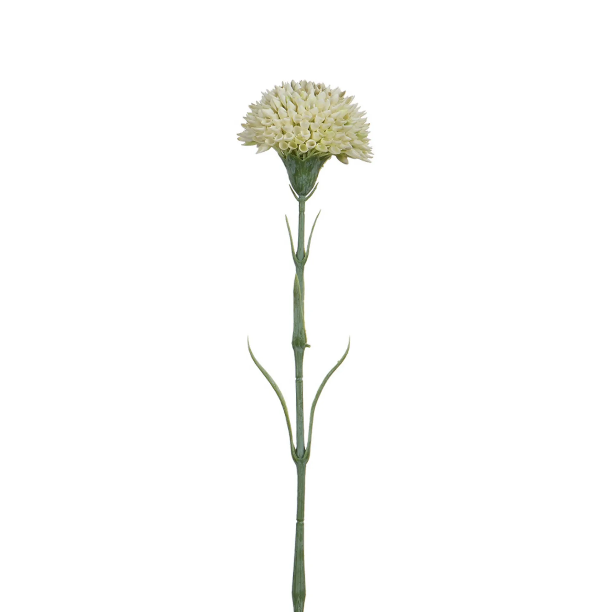 Tige de Dahlia 58 cm