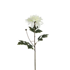 Tige de Dahlia 65 cm