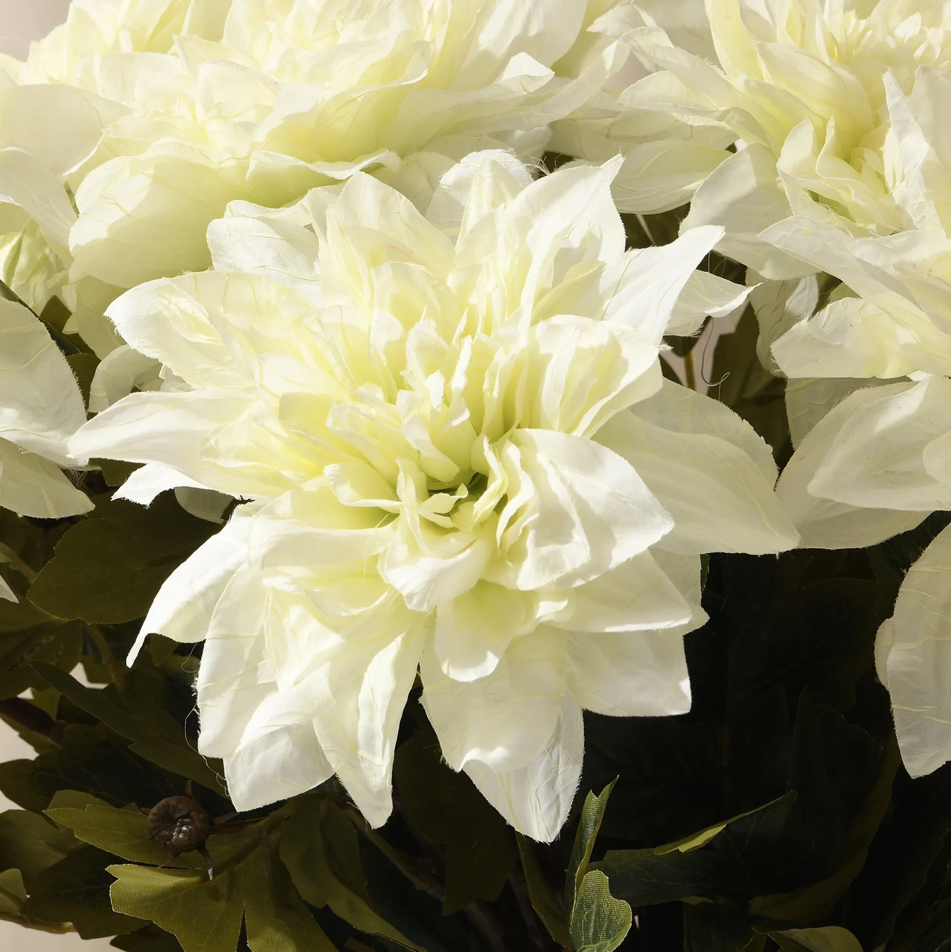 Tige de Dahlia 65 cm