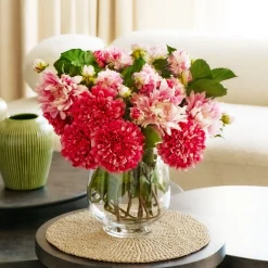 Tige de Dahlia Estiva