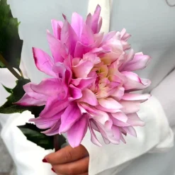 Tige de Dahlia Estiva