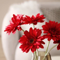 Tige de Gerbera