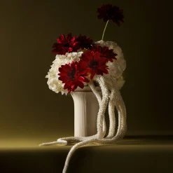 Tige de Gerbera