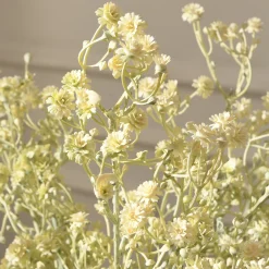 Tige de Gypsophile 59 cm