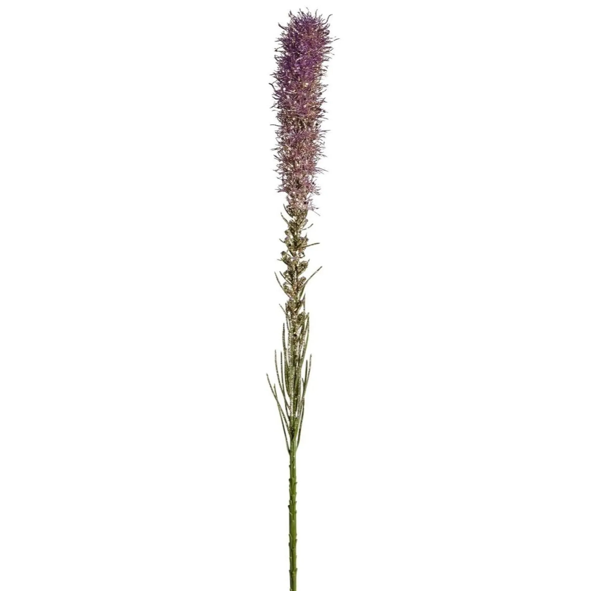 Tige de Liatris pailletée