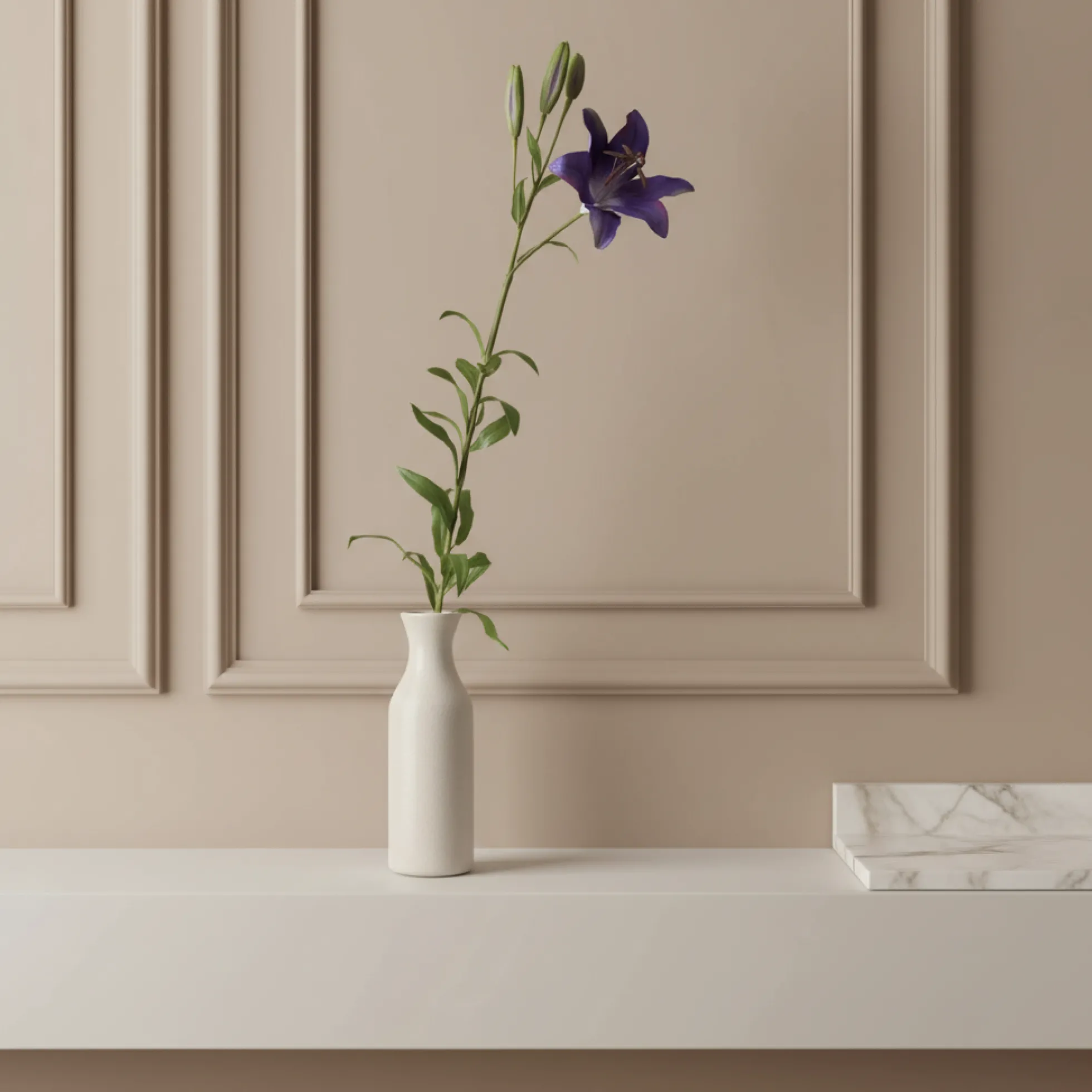 Tige de Lily Rubrum Elsa