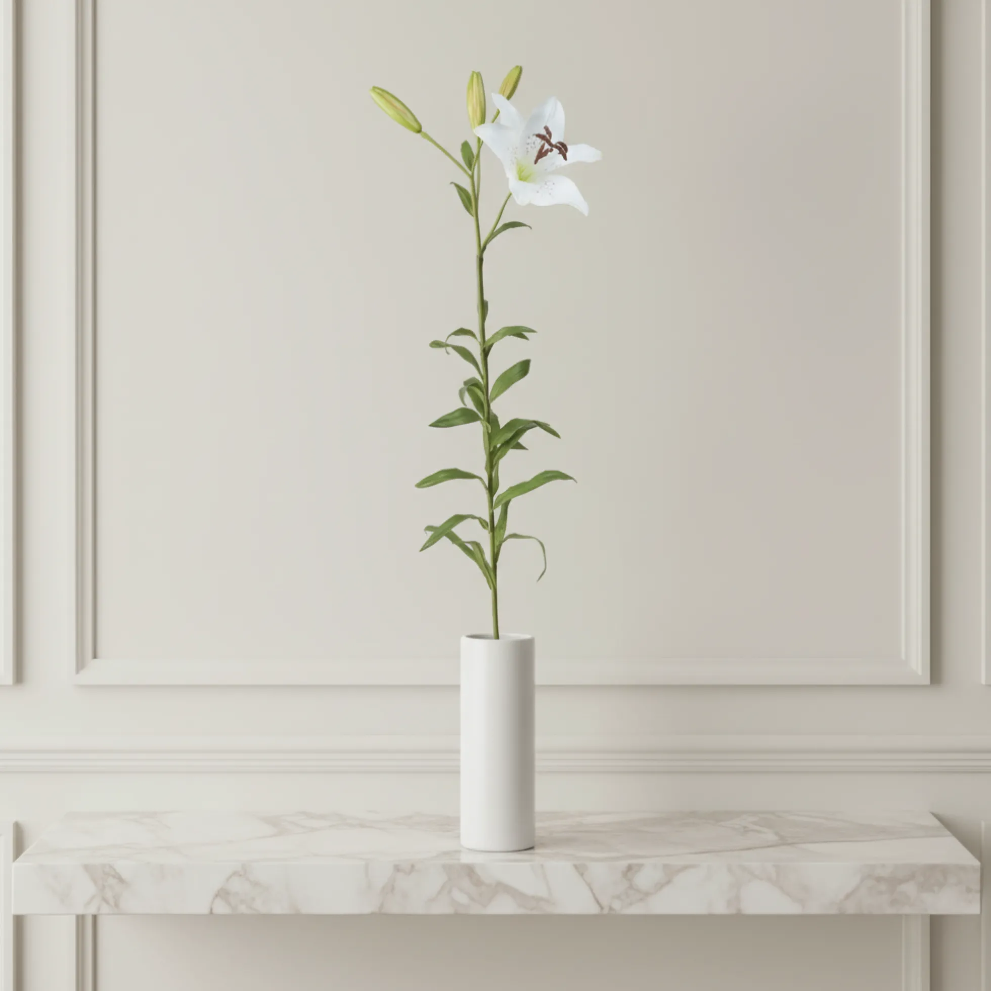 Tige de Lily Rubrum Elsa