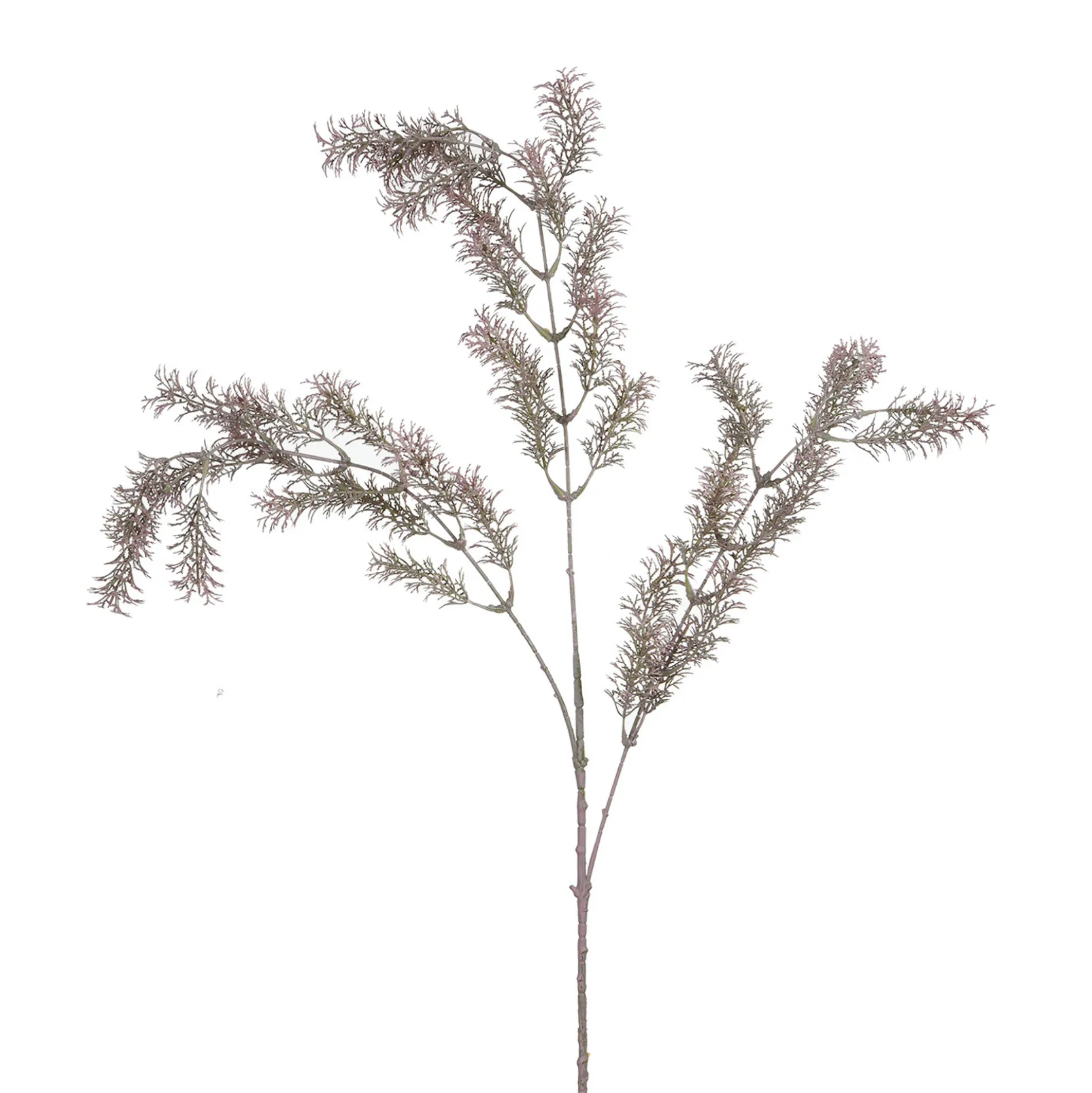 Tige de Ming Fern 93 cm