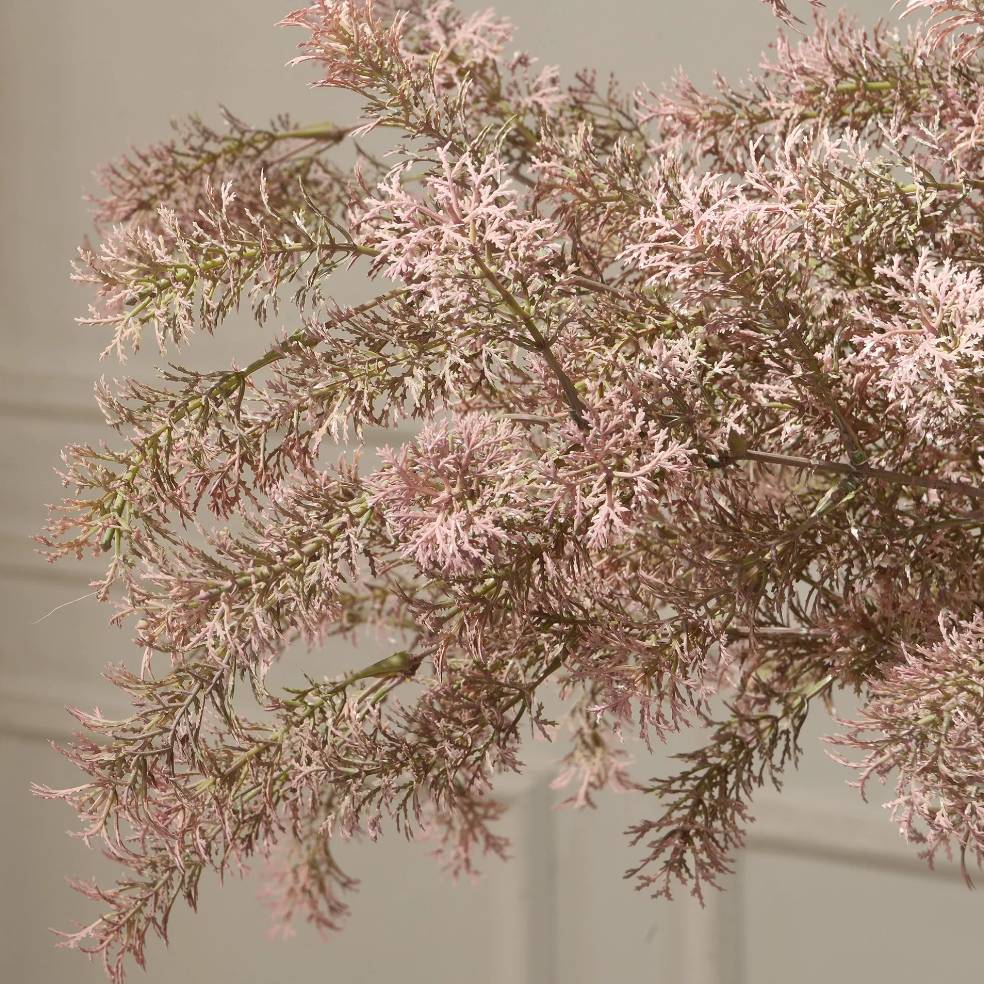 Tige de Ming Fern 93 cm