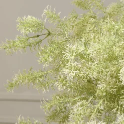 Tige de Ming Fern 93 cm