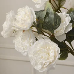Tige de Pivoine 85 cm