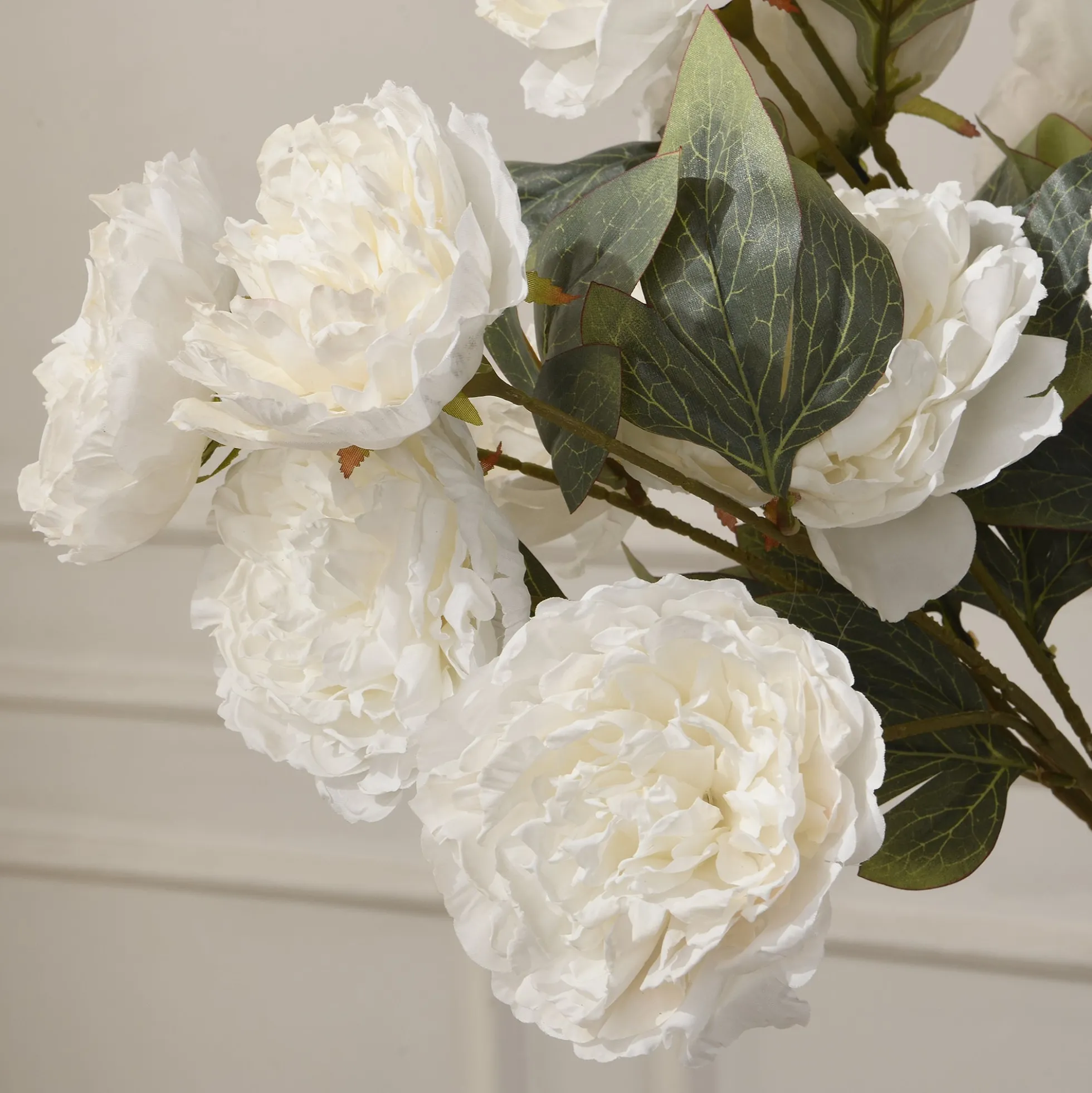 Tige de Pivoine 85 cm