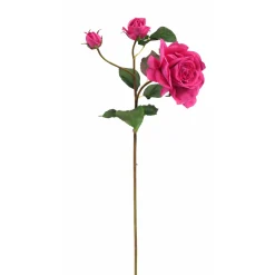 Tige de Rose Avec Bourgeon