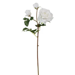 Tige de Rose Avec Bourgeon