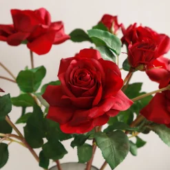 Tige de Rose Avec Bourgeon