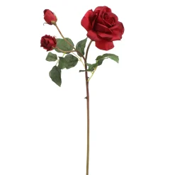 Tige de Rose Avec Bourgeon