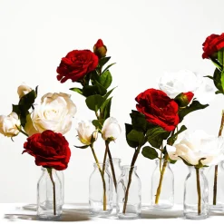 Tige de Rose Avec Bourgeon