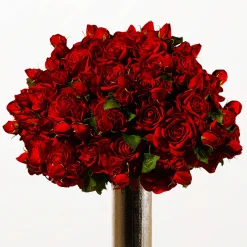 Tige de Rose Avec Bourgeon