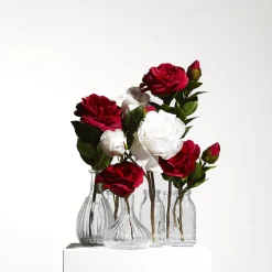 Tige de Rose Avec Bourgeon