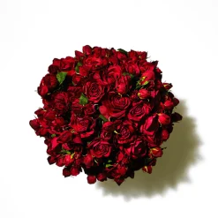 Tige de Rose Avec Bourgeon