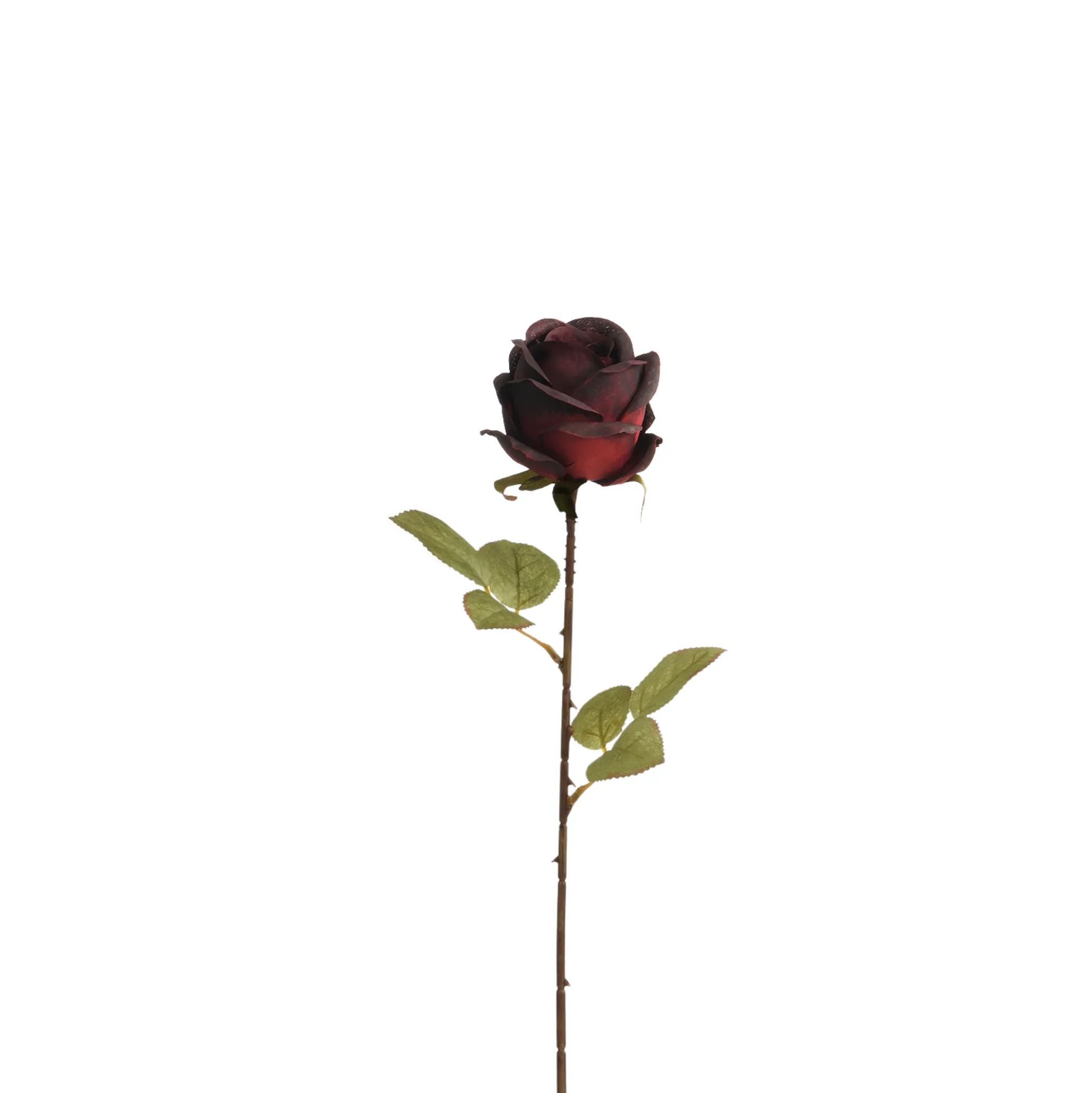 Tige de Rose 56 cm