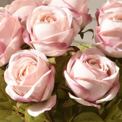 Tige de Rose 56 cm