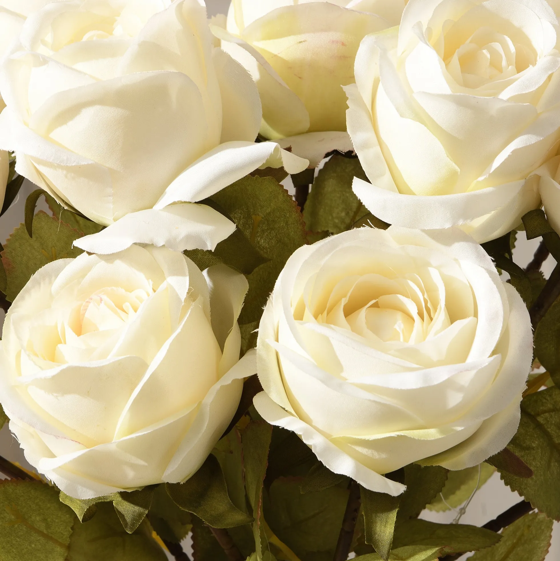 Tige de Rose 56 cm