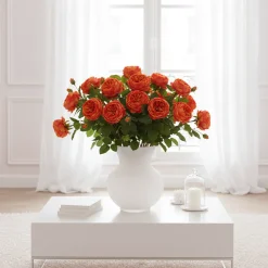 Tige de Rose David fermée
