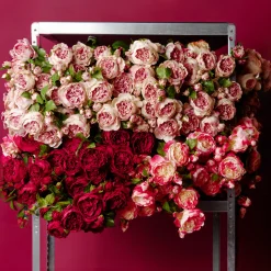 Tige de Rose David fermée