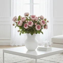 Tige de Rose David fermée