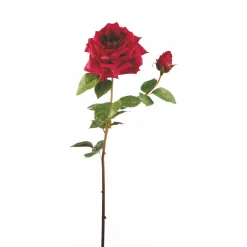 Tige de Rose David ouverte