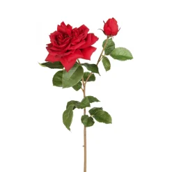 Tige de Rose David ouverte