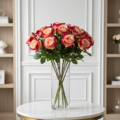 Tige de Rose Diane