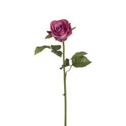 Tige de Rose Diane
