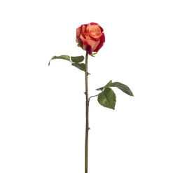 Tige de Rose Diane